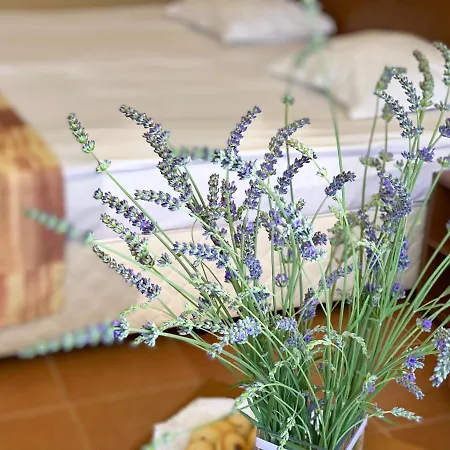Plamena Palace Hotel Primorsko
