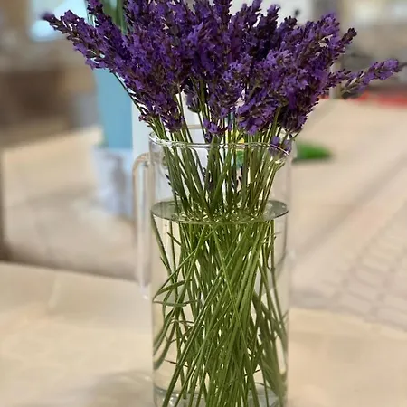 Szálloda Plamena Palace