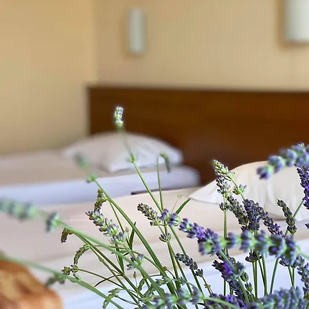 Szálloda Plamena Palace