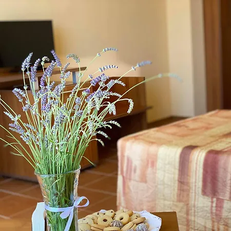 Plamena Palace Primorszko