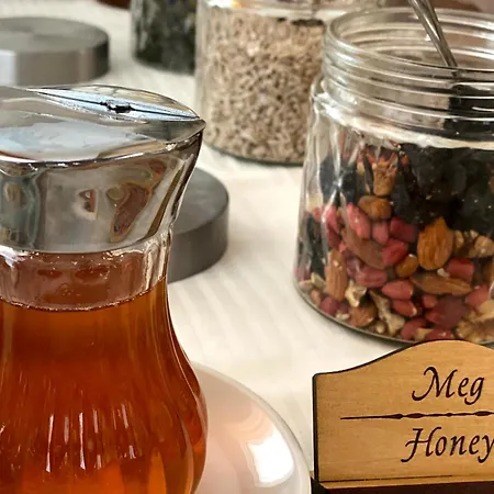 Plamena Palace Primorszko