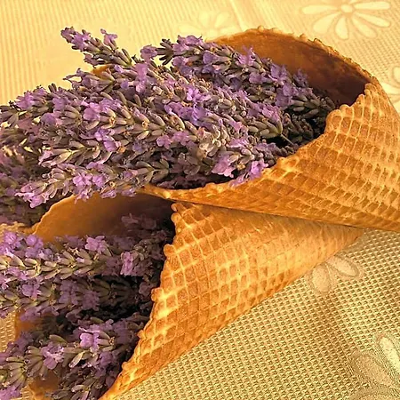 пламена палас Хотел