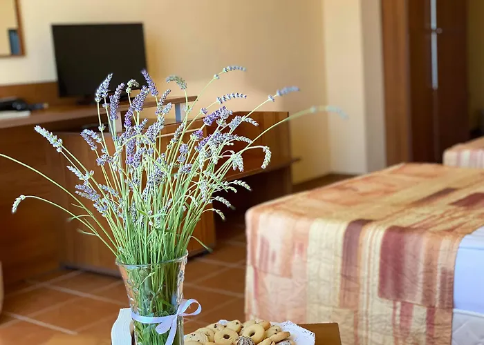 Plamena Palace Primorsko